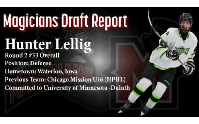 DRAFT REPORT: Hunter Lellig