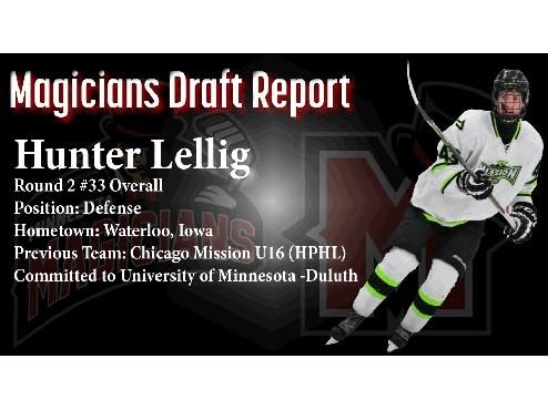 DRAFT REPORT: Hunter Lellig