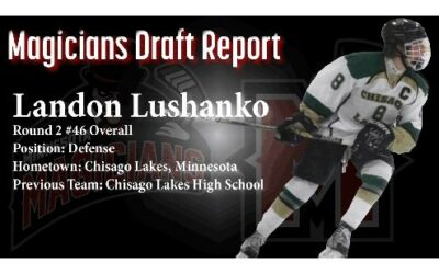 DRAFT REPORT: Landon Lushanko