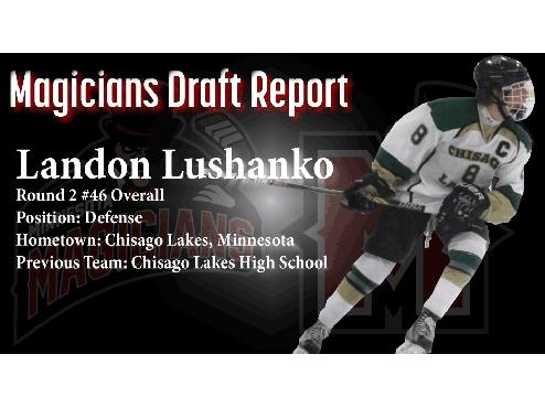 DRAFT REPORT: Landon Lushanko