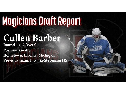 DRAFT REPORT: Cullen Barber