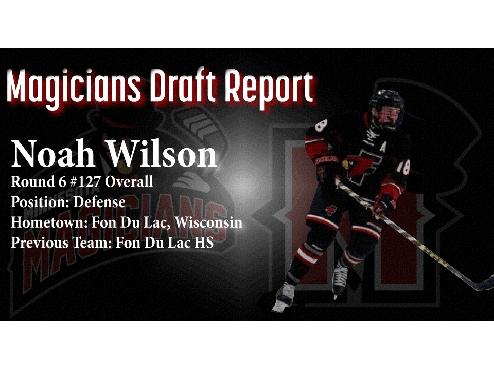 DRAFT REPORT: Noah Wilson