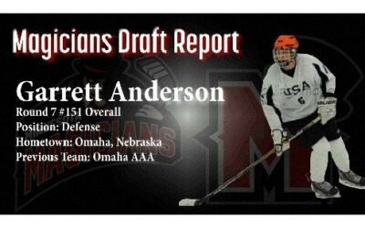 DRAFT REPORT: Garrett Anderson