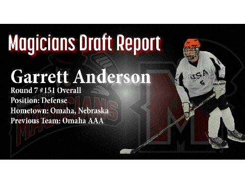 DRAFT REPORT: Garrett Anderson