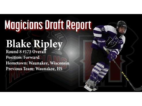 DRAFT REPORT: Blake Ripley