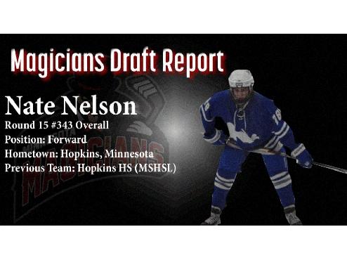 DRAFT REPORT: Nate Nelson