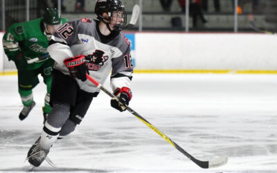 Weekend Preview: The Ice Dogs Come to Town