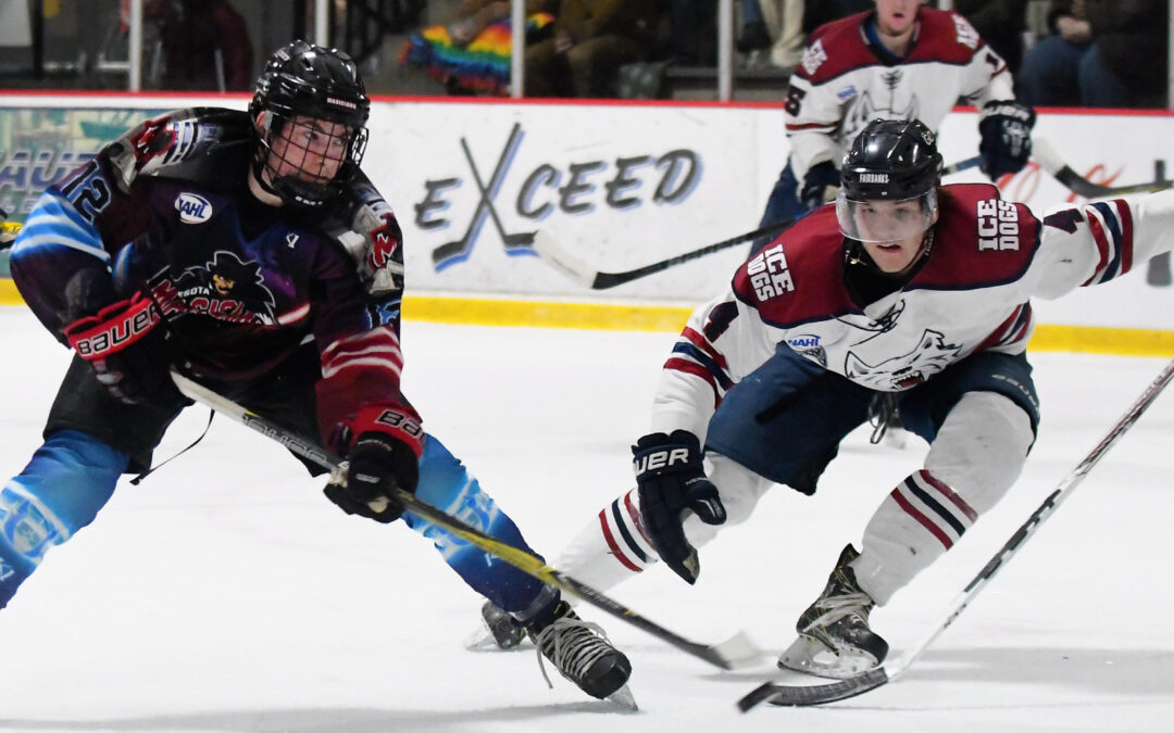 Weekend Recap: All Ice Dogs