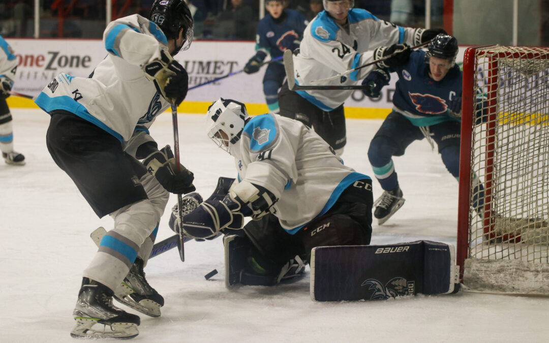Windigo Sweep the Anchorage Wolverines